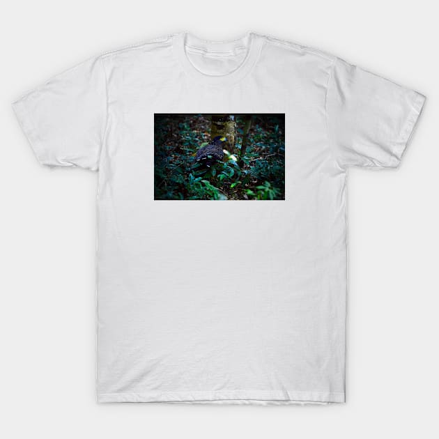 Eagle II / Swiss Artwork Photography T-Shirt by RaphaelWolf